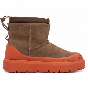 UGG Mini Hybrid - Chestnut / Orange