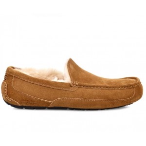 UGG Mens  Ascot - Chestnut